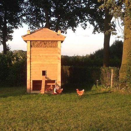 Bed En Boterham Hoeve Boord Ven Bed & Breakfast Eersel Exterior foto